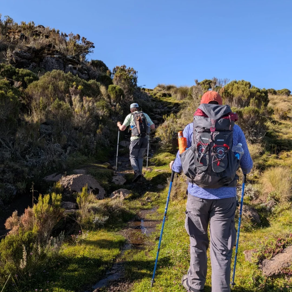 Mount Kenya Day Hike Sirimon Route