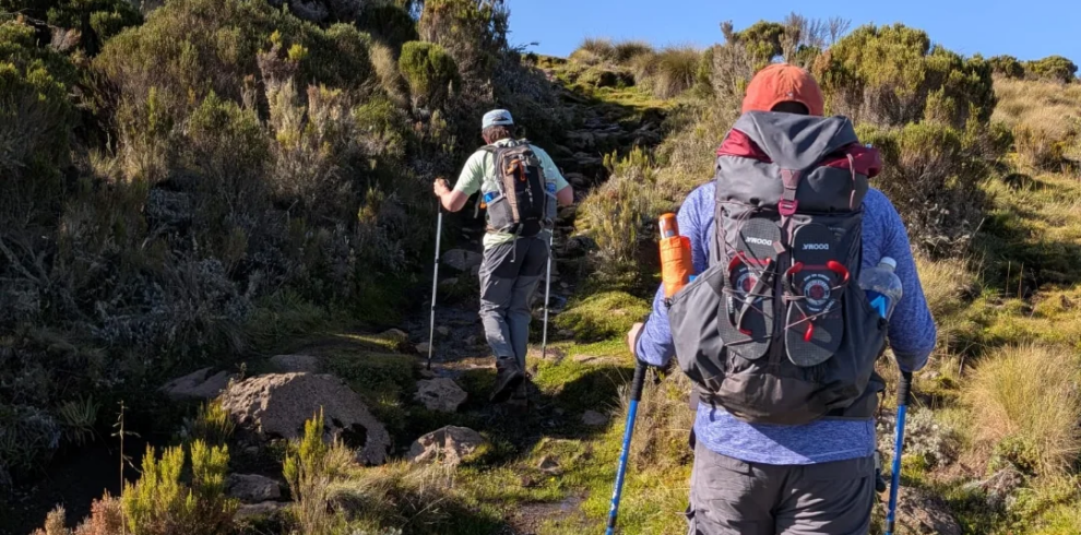 Mount Kenya Day Hike Sirimon Route