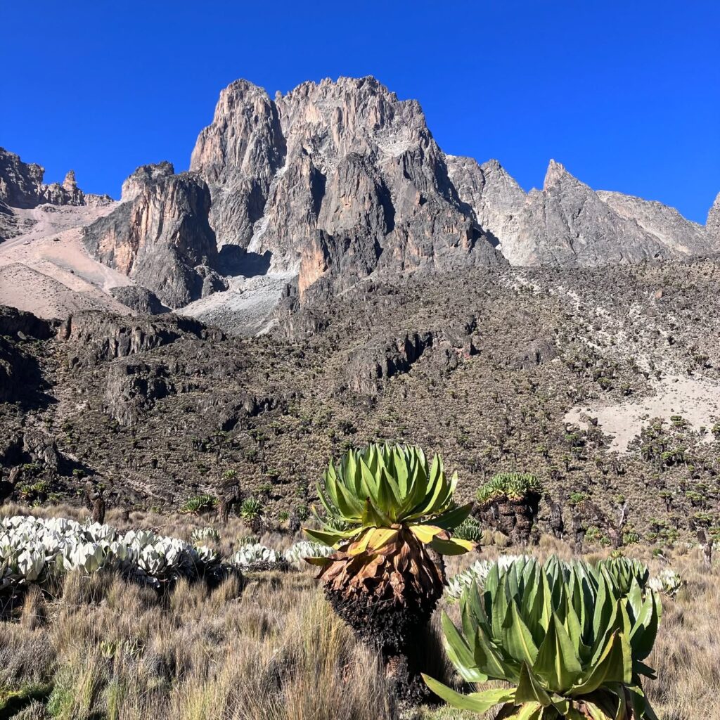 Mount Kenya Group Trek 5 Days Sirimon Chogoria