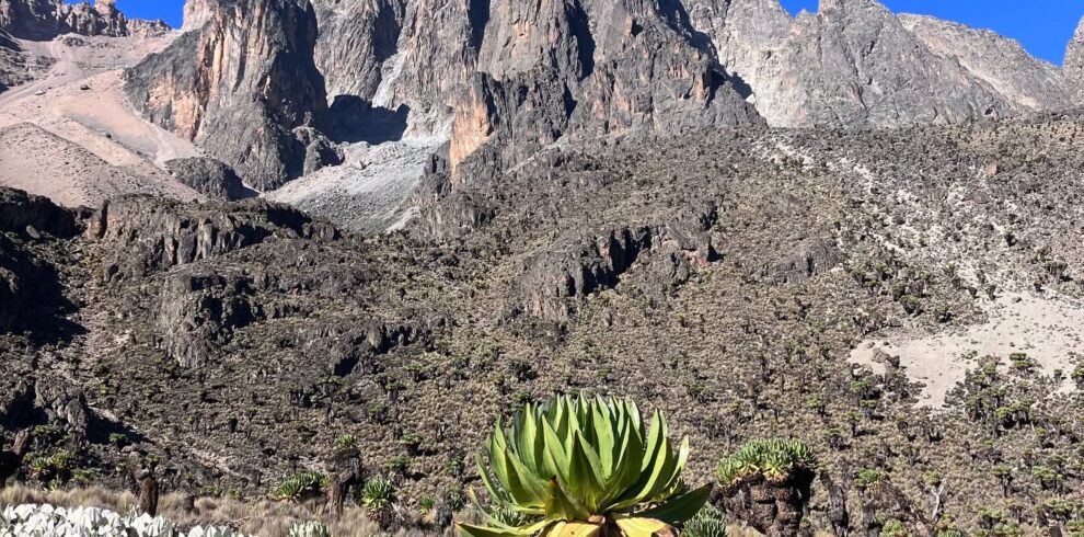 Mount Kenya Group Trek 5 Days Sirimon Chogoria