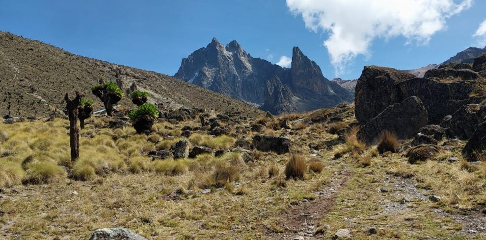 4 Day Mount Kenya Trek Naro Moru Route