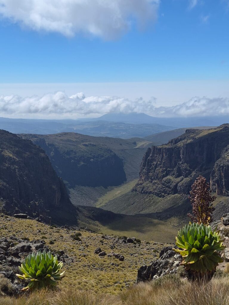 5 Day Mount Kenya Group Trek