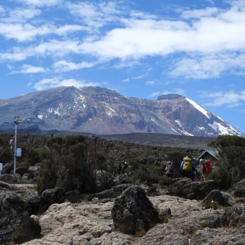 Kilimanjaro Summit Adventures